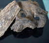 OUD Silani Bakhoor muattar - wild agarwood blended with a hint of musk tahara 50g
